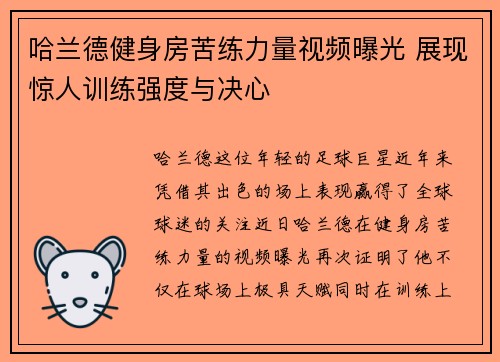 哈兰德健身房苦练力量视频曝光 展现惊人训练强度与决心